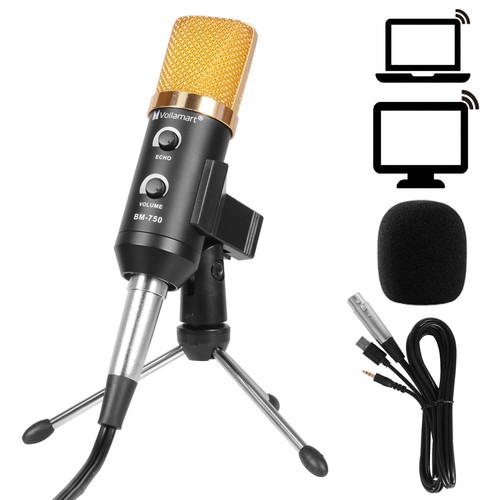 Condenser Microphone Kit Studio Audio Broadcast Tripod Stand Sound Recording USB