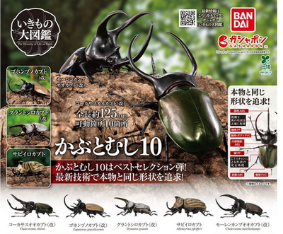 【レトロ】THE BEETLES OF THE WORLD 3Dカード s-l400.png