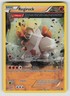 Regirock XY49 Promo XY Black Star Promos Pokemon HP
