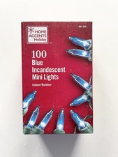 Home Accents Holiday 100 Blue Incandescent Mini Lights Indoor/Outdoor 20 FT