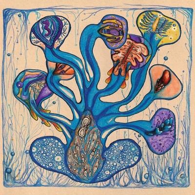 Houeida Hedfi = Fleuves De L'âme = CD ALBUM =AFRICAN ARABIC FOLK ELECTRONICA EXP