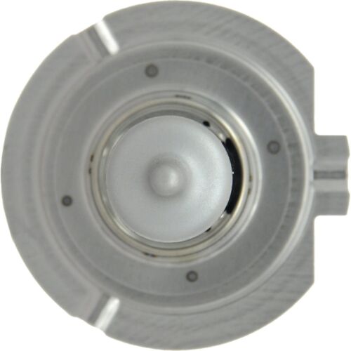 Halogen H7 55W Orange Amber Two Bulbs Head Light Low Beam Replace Lamp Upgrade - Picture 5 of 13