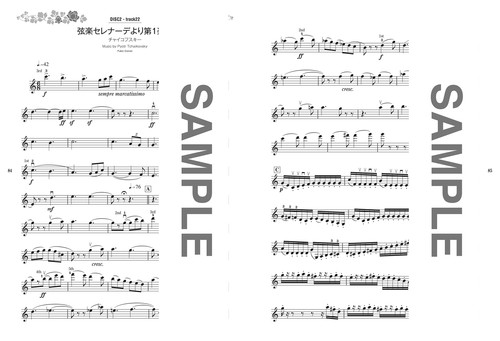 Standard repertoire played on the violin (includes 2 karaoke CDs) - Picture 3 of 3