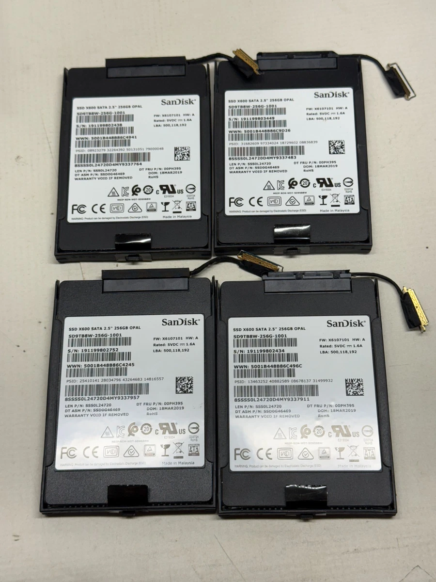 SanDisk 256 GB Solid State Drives for sale | eBay