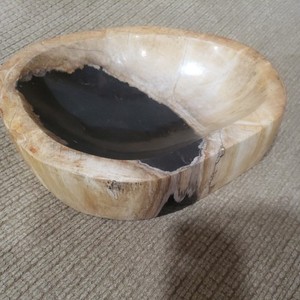 PETRIFIED WOOD BOWL, Petrified Wood Trinket Dish, Rare Petrified Wood Bowl