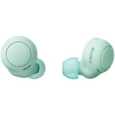 Sony WF-C500 Wireless Earbuds, IPX4, Lightweight 5.4g, Ice Green, From Japan