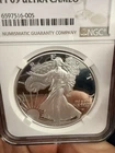 2022-W American Silver Eagle Proof — photo from another recent sale