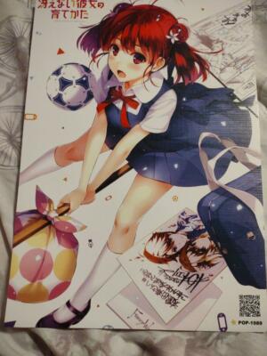 Saekano How to Raise a Boring Girlfriend Poster 16.5x11.5