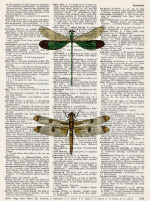 DRAGONFLIES * VINTAGE DICTIONARY PAPER ART PRINT | eBay Australia