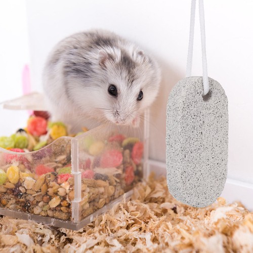 2Pcs Calcium Stone Chews Toy Small Animal Mineral Rabbit Toys Guinea Pig - 第 5/11 張圖片