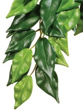 Exo Terra Silk Plant Ficus Large
