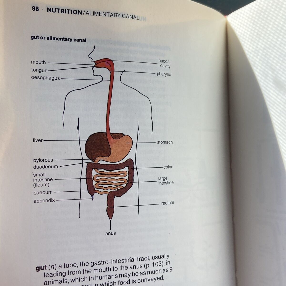 Illustrated Dictionary of Biology (Longman illustrated Illustrated Dictionary of Biology (Longman illustrated