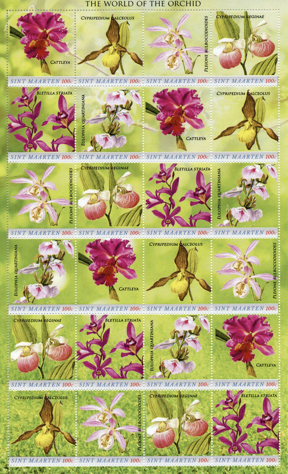 St Maarten Spring new work one after another Flowers Attention brand Stamps 2020 MNH of Flora Orchids Orchid World