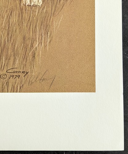 1979 Bob Carney Limited Edition Signed Print Point Of Decision Quail Pointer Dog - Picture 9 of 12