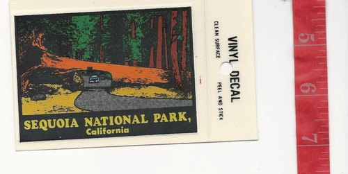 Vintage Vinyl decal Sequoia National park Ca. Baxter Lane luggage sticker #2