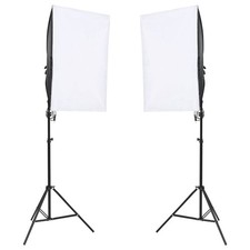 Vidaxl Kit Studio Fotografico con Luci Fondale e Riflettore 