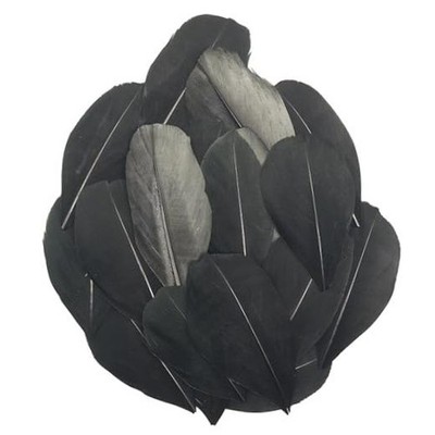 50 Pieces Natural Goose Feathers - 2-3 Inch Craft Feathers - Black