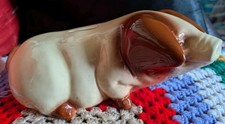 Vintage Ceramic Tamworth Pig Piggy Bank 10” Long Collectible VGC Home Decor