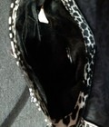Bild 8 von 9