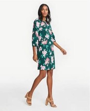 Ann Taylor Floral Woodsy Green Lantern 3/4 Sleeves Crew Neck Shift Dress  0 4 6