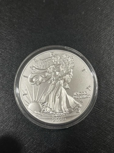 2025 1oz Silver American Eagle with Eagle Privy Bullion coin .999 Fine