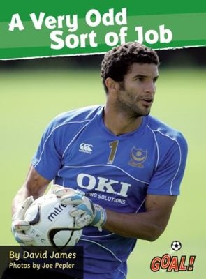 A Very Odd Sort of Job Paperback David James