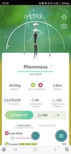 Pokémon Shiny Pheromosa GO