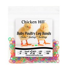 Chick Leg Bands 4 colors 1/4" Size 4 Poultry Chickens Ducks Geese Game Birds