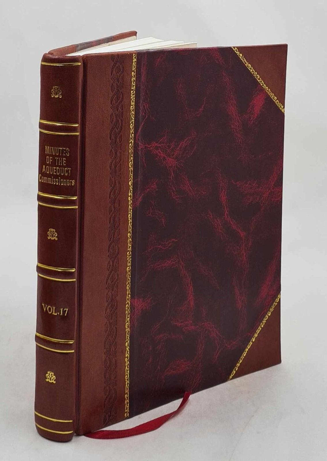 1901 Aqueduct Commissioners Minutes Volume V 17 Leather Bound Edition