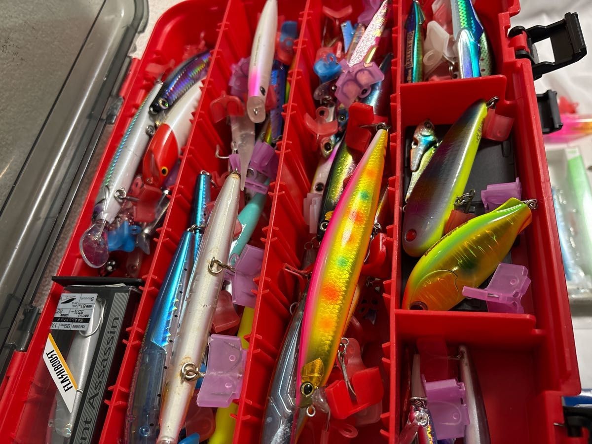 Large lure sea bass retirement set with blue fish lure - Image 4