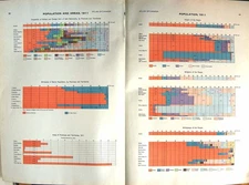 Old Antique Print Chartpopulation Birthplaces People Religion Canada 1911 20th