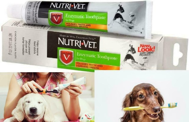 Toothpaste Dental Care Dogs Hygiene Clean Teeth Pet No Foam Chicken