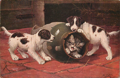 Tuck Postcard An Unsafe Retreat 9351 Kitten In Jug Rolled By Puppies B. Cobbe