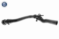 KÜHlerschlauch Oben Vaico V10 1000 FÜR Audi Seat Skoda VW KÜHlmittelschlauch