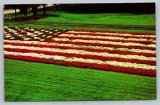 Living Flag Earl May Seed & Nursey Co Shenandoah Iowa c1960 Vintage Postcard