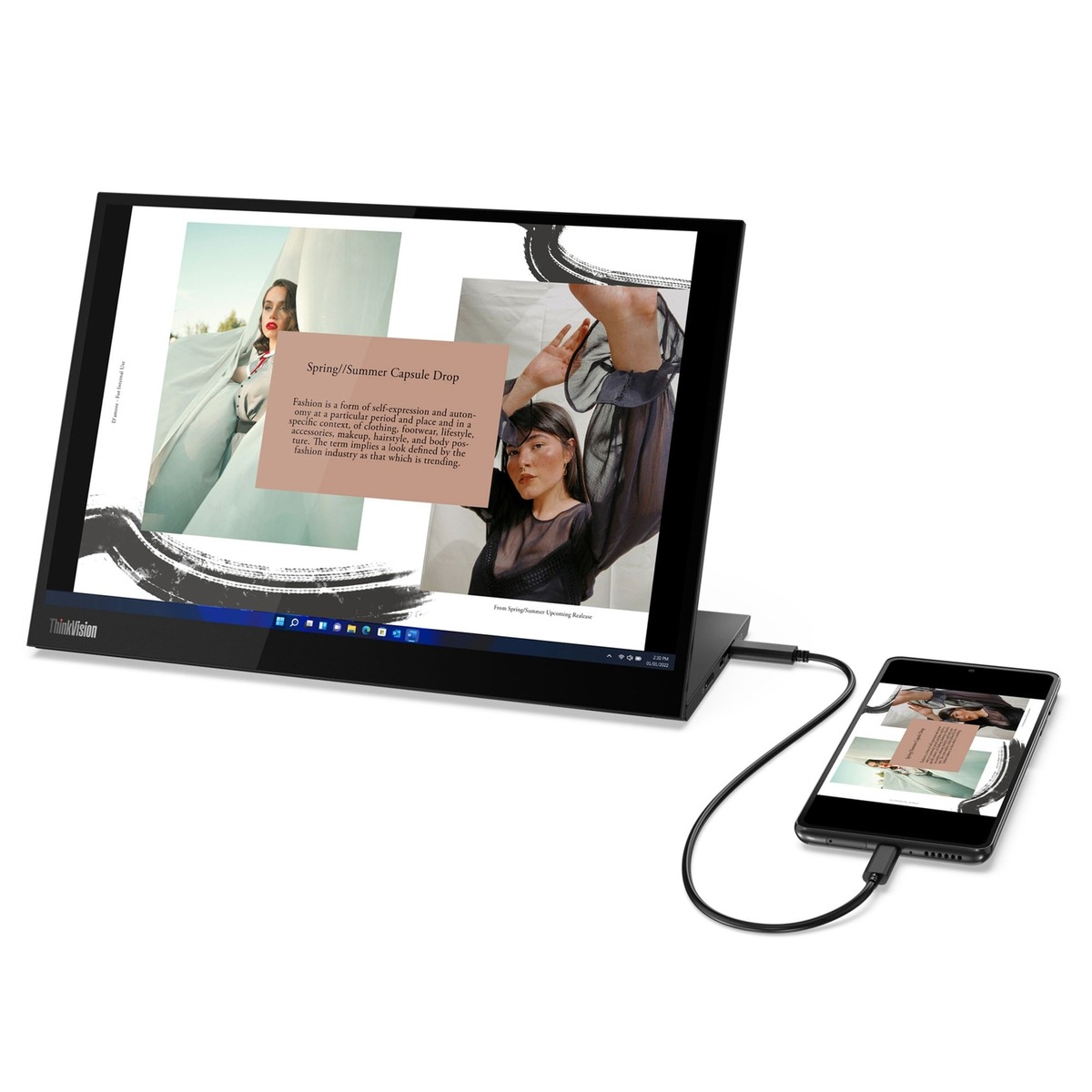 Lenovo ThinkVision 14 inch Portable Monitor - M14d | eBay