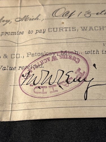 I.O.U. a cheque de colección 1894 a Banking House of Curtis Wachtel & Co Petoskey Michigan - Imagen 6 de 7