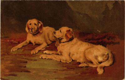 CPA AK Illustration on Postcard DOGS (729482)