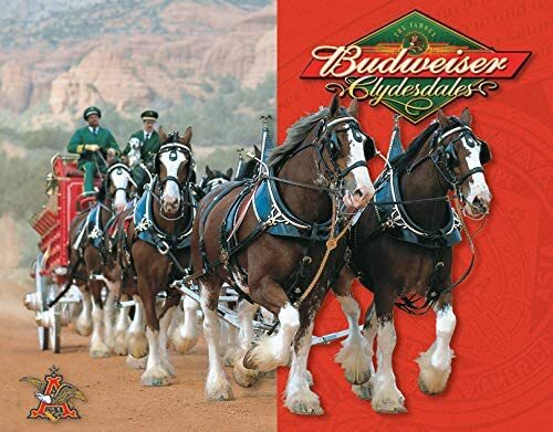 Budweiser Clydesdales Retro Metal Tin Sign 16" x 12.5" American Beer Brand NEW