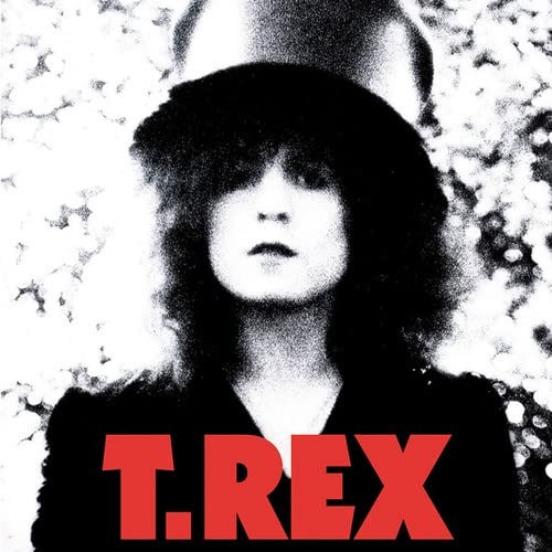 Tyrannosaurus Rex The Slider (Vinyl)