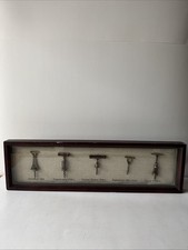Vintage Miniature Corkscrew Collection Shadow Box Display 5 Pc Germany France