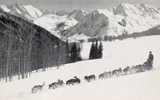 Aspen Ashcroft CO Toklat Wilderness Lodge Maroon Bells Sledding Vtg Postcard B42