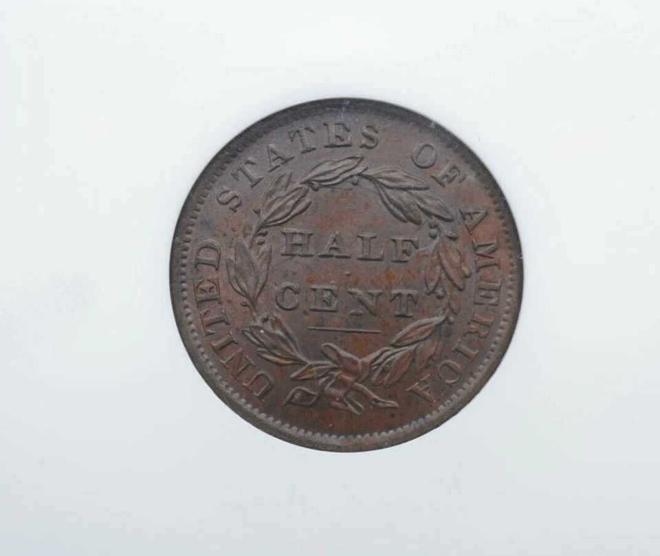 1834 Classic Head 1/2 Half Cent NGC MS 65 BN - T011 - Image 4 of 4