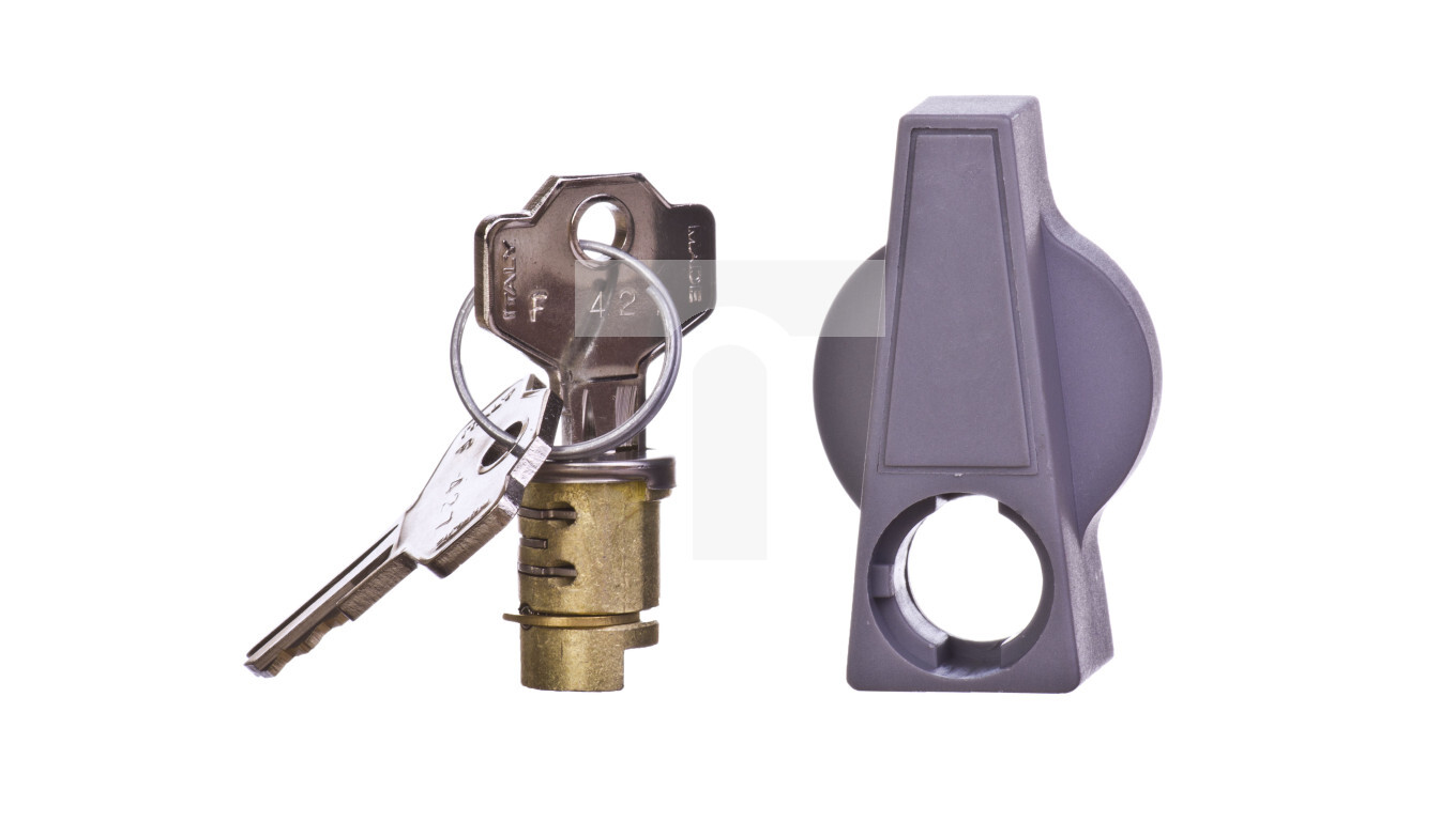Lock with key no. 427 RAL7046 FL96Z /T2UK