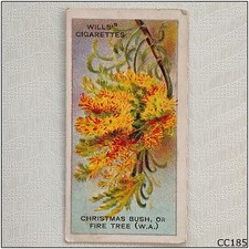 Wills Australian Wild Flowers #46 Christmas Bush WA Cigarette Card (CC185)