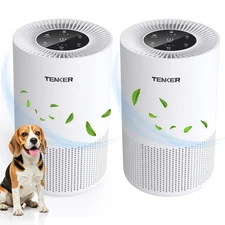 2Pcs Large Room HEPA Filter Air Purifier Air Cleaner for Home Dust Smoke Odor US