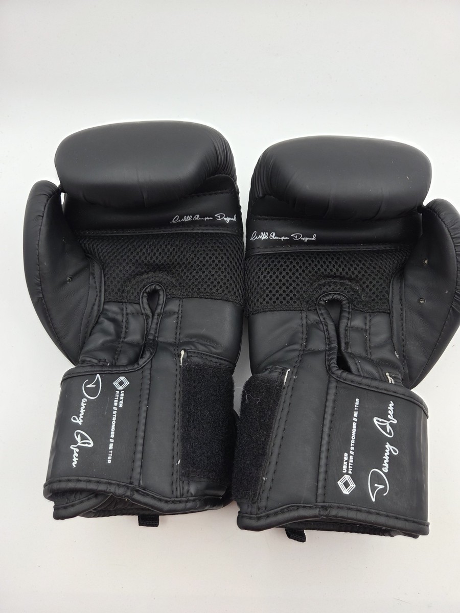 UBX Boxing 10oz Boxing Glove Pair Brand New Punching Gloves | eBay