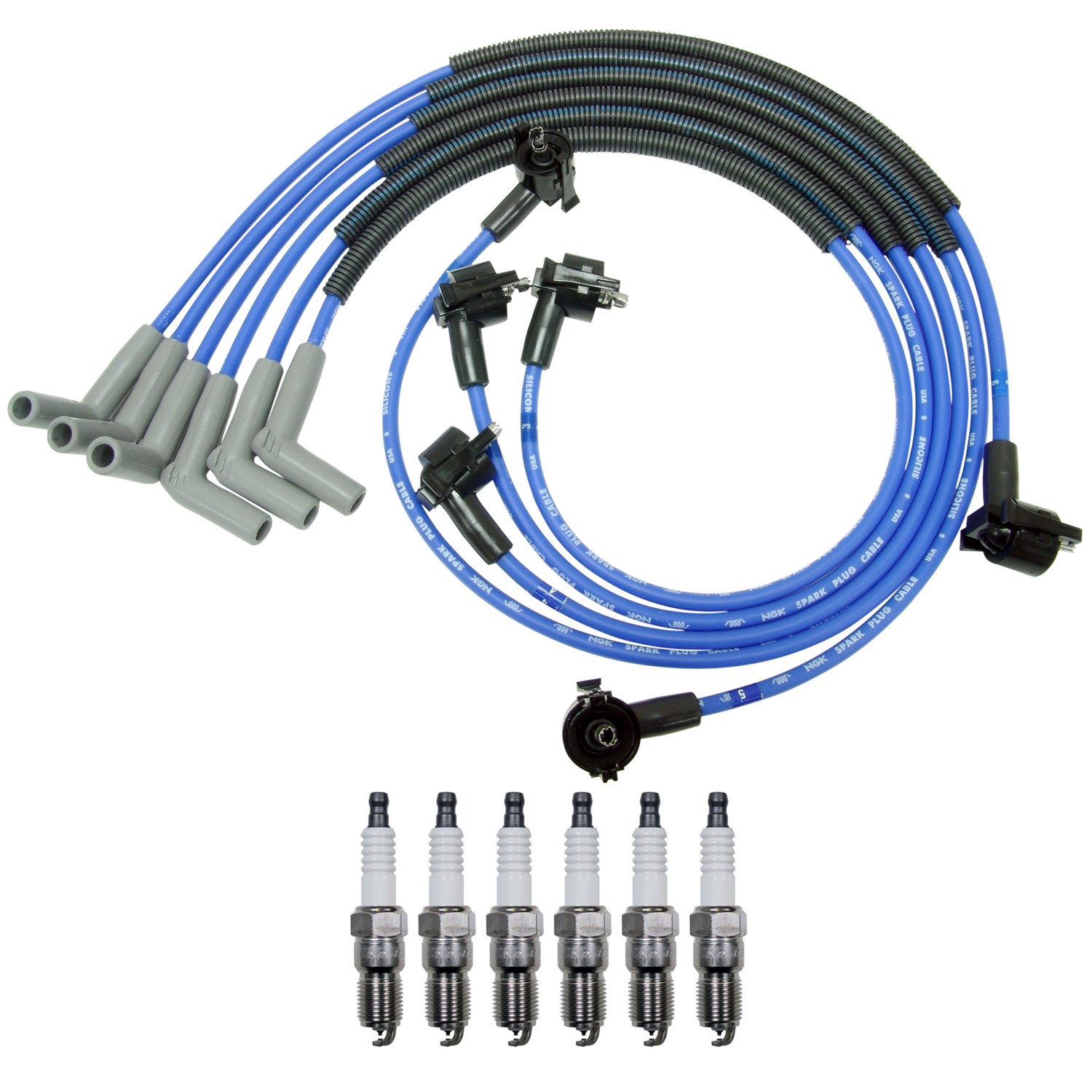 NGK Wire Set  Denso 6 Platinum TT Spark Plugs Kit for E-150 E-250 F-150 4.2L V6