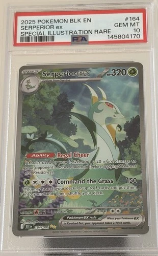 Pokémon TCG PSA 10 Serperior ex 164/086 Sv: Black Bolt SIR Holo EN 2025