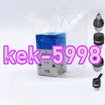 1PC neu Festo front panel mounted valve Basic valve SVS-3-1/8 #LM